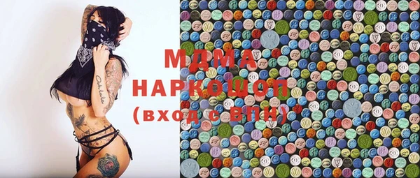 индика Надым