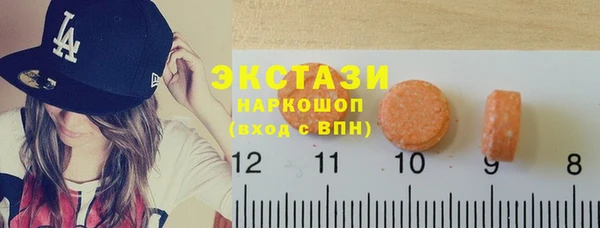 индика Надым