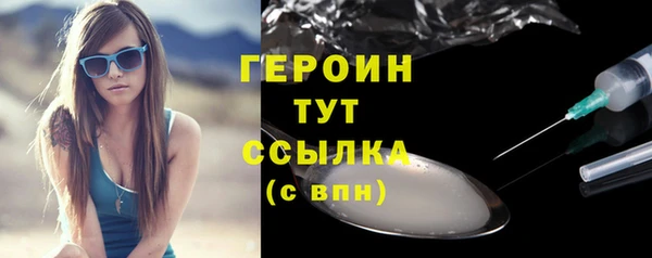 индика Надым
