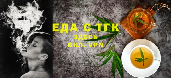индика Надым