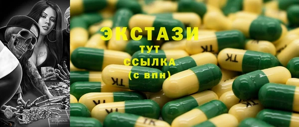 индика Надым